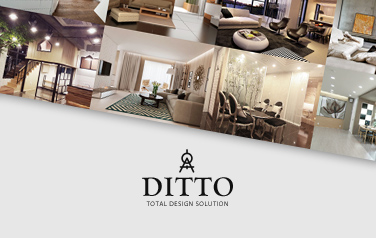 Ditto Design branding | website Design | Sugar Design