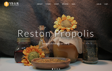 YB & RESTON Trading Korea website Design | website Design | Sugar Design